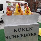 Welt-Ei-Tag: Alle 3,5 Sekunden wird ein männliches Kücken getötet!