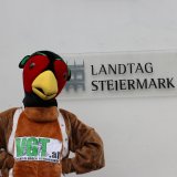 Ausgesetzt und erschossen - alljährliche jagdliche Tierqual