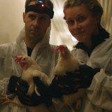 Tierbefreiung als Film