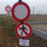 Nordburgenland: Jagd auf ausgesetzte chinesische Königsfasane – bedrohte Tierart!