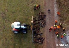Traktor beseitigt