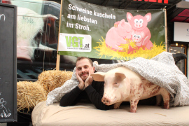 liegen