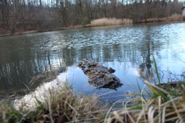 Hanslteich im 17. Bezirk