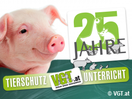Tierschutz-Unterricht Sujet