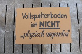 Vollspaltenboden Aktion 3