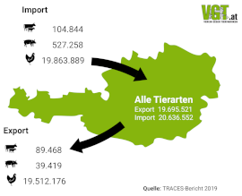 Rindertransport