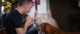 Film-Still The End of Meat