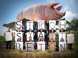 Virtuelle Demo Stroh statt Beton