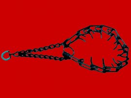 Korallenhalsband