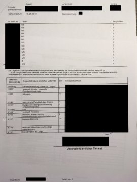 Untersuchungsschein 2