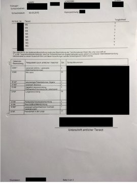 Untersuchungsschein 4