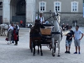 Fiaker mit scheuenden Pferden