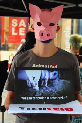 Cube of Truth 1