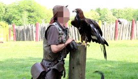 Adler 2