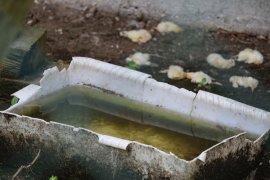 dreckige Trinkschalen