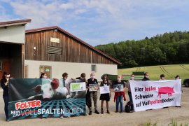 Demo vor Betrieb 1