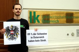 Demo Wien 1