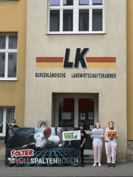 Demo Eisenstadt