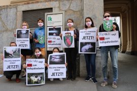 Demo Graz