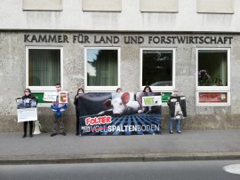 Demo Salzburg