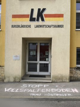 Kreideaktion 1