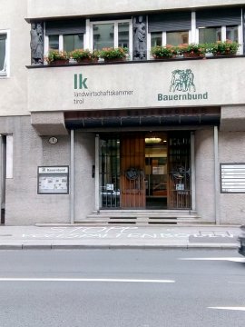 Kreideaktion 3