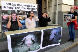 Köstinger Aktion 2
