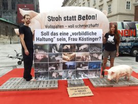 Aktivist_innen auf Vollspalten 1