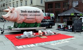 Aktivist_innen auf Vollspalten 2