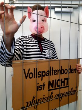 Aktivist hinter Gittern