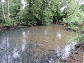 leerer Teich