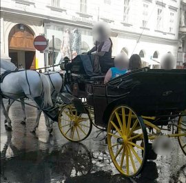Fiaker Fahrer mit Gästen