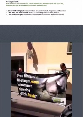 Videokonferenz mit VGT-Demo im Bild