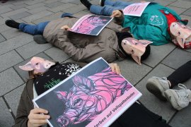 Die-In Flashmob