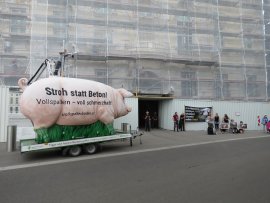Grunzi vor Ministerrat