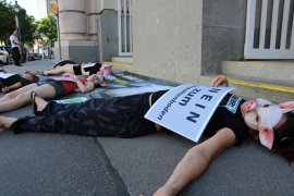 Aktivist_innen beim Die-In