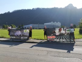 VEREIN GEGEN TIERFABRIKEN und Verein RespekTiere