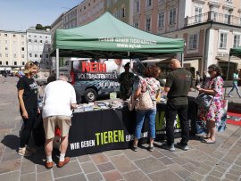 24h auf Vollspalten-Aktion Salzburg 4