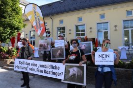 Demo gegen Vollspaltenböden 1