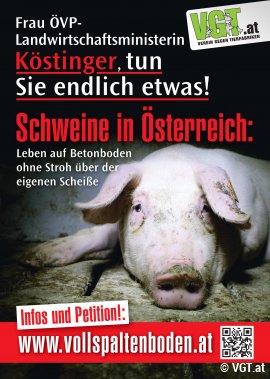 VGT Plakat gegen Vollspaltenboden