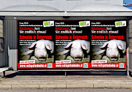 Plakate gegen Vollspaltenboden auf Plakatwand