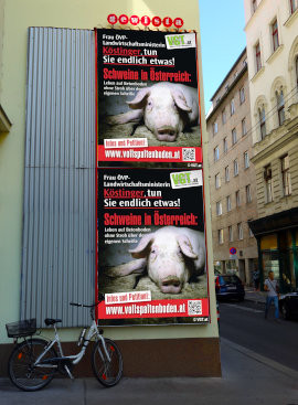 Plakate gegen Vollspaltenboden auf Plakatwand