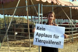 Demonstrantin vor Zirkus