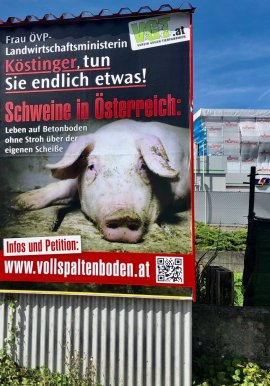 Plakat Vollspalten Kampagne
