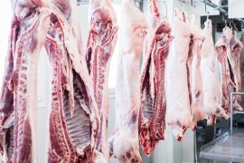 tote Tierhälften