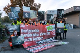 Mahnwache 1