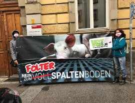 Demo Innsbruck