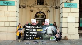 Demo Wien 2