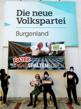 Demo Eisenstadt