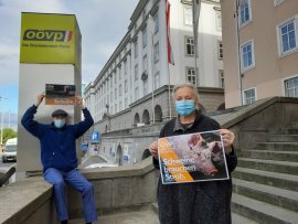 Demo Linz
